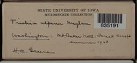 Image Associated With the Occurence